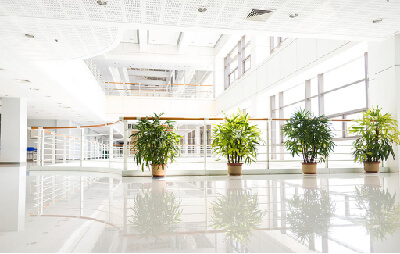 Counterfeit Products