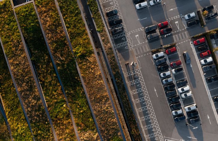 Biodiversity Plants Growing On Roof Of Building