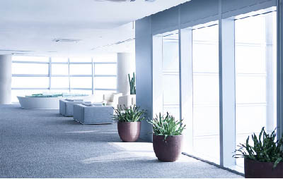 Corporate governance – recent reforms